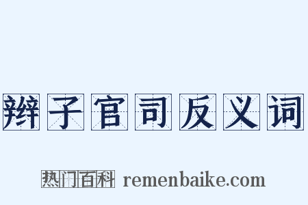 辫子官司反义词是什么意思的图片